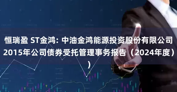恒瑞盈 ST金鸿: 中油金鸿能源投资股份有限公司2015年公司债券受托管理事务报告（2024年度）