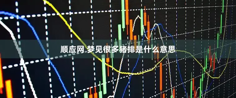 顺应网 梦见很多猪排是什么意思