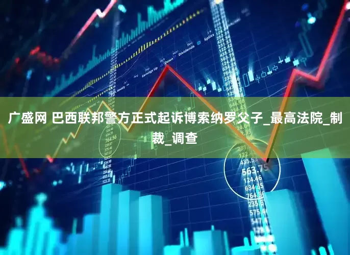 广盛网 巴西联邦警方正式起诉博索纳罗父子_最高法院_制裁_调查