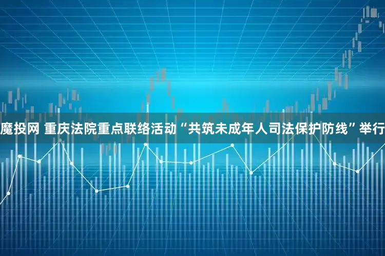 魔投网 重庆法院重点联络活动“共筑未成年人司法保护防线”举行