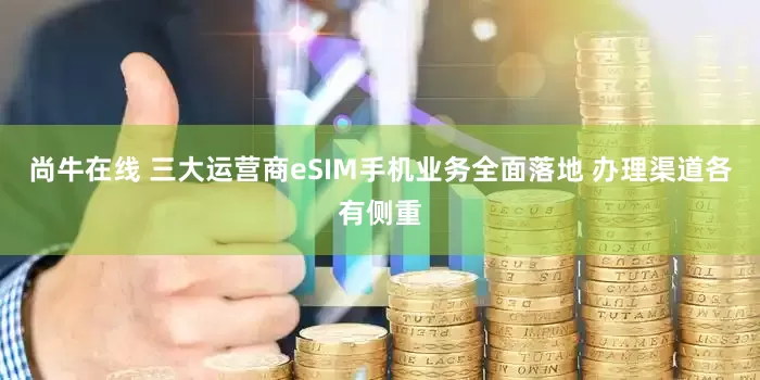 尚牛在线 三大运营商eSIM手机业务全面落地 办理渠道各有侧重