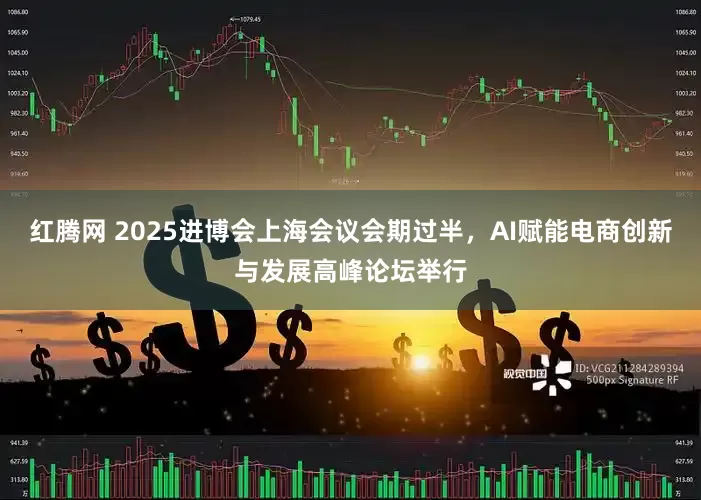 红腾网 2025进博会上海会议会期过半，AI赋能电商创新与发展高峰论坛举行