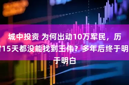 城中投资 为何出动10万军民，历时15天都没能找到王伟？多年后终于明白